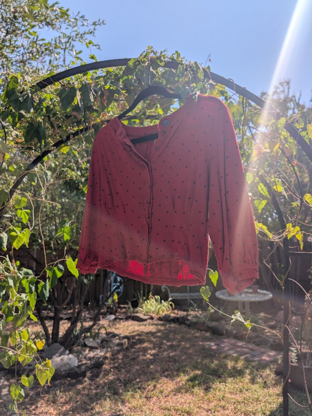 Free People Red Polka Dot Cropped Button Top L Boho Long Sleeve